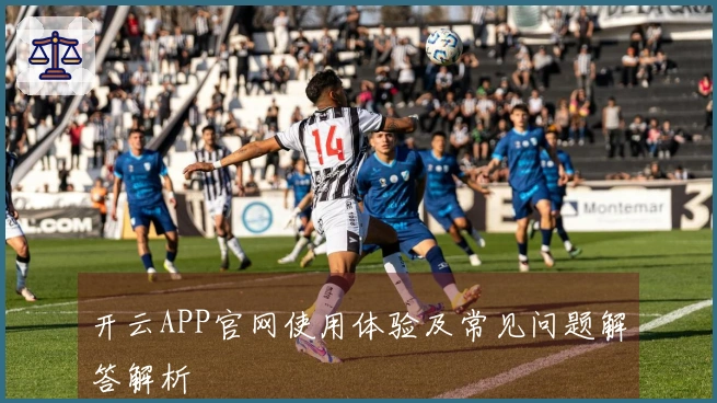 开云APP官网使用体验及常见问题解答解析