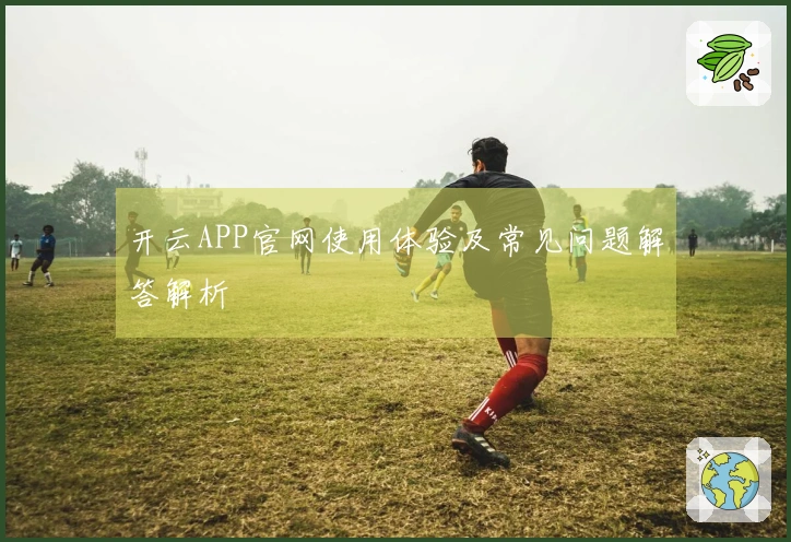 开云APP官网使用体验及常见问题解答解析