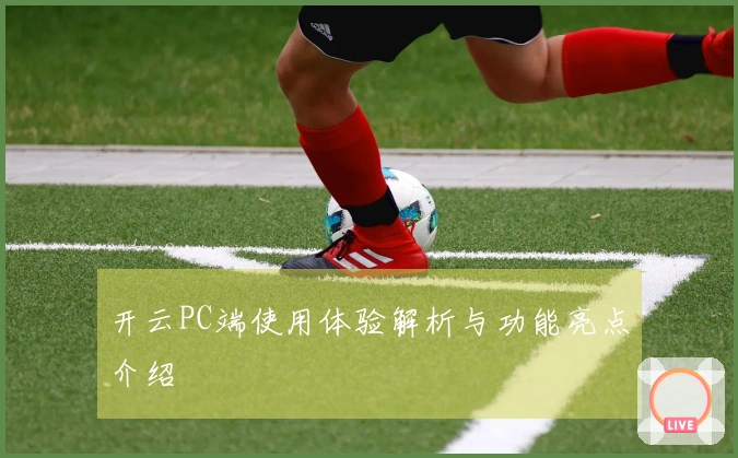 开云PC端使用体验解析与功能亮点介绍